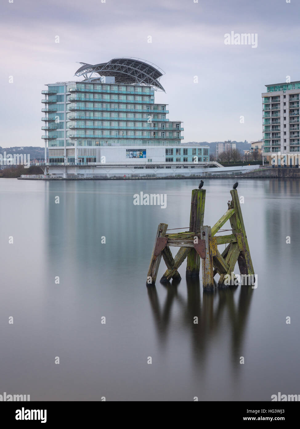 Il St.Davids Hotel e due sono ' appollaiati i cormorani, Cardiff Bay, Glamorgan, Wales, Regno Unito Foto Stock