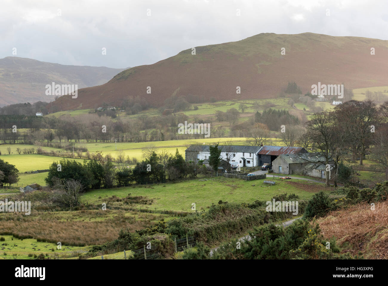 Una vista del paesaggio di una azienda agricola e agriturismo e campagna in Newlands Valley vicino a Keswick Lake District Cumbria Regno Unito Foto Stock