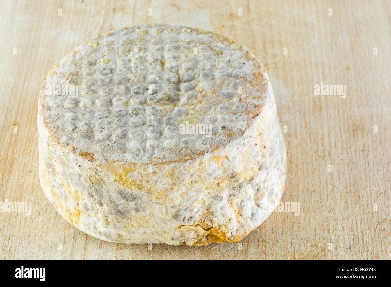 La forma di formaggio a pasta dura di una crosta bloomy latte di capra, il gelo crosta, di trattamento attraverso un apposito stampo del genere Penicillium, come Penicillium camemb Foto Stock