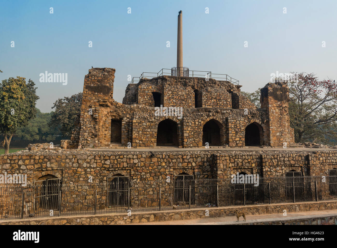 Pilastro di Ashoka sulla struttura piramidale e un cane in Feroz Shah Kotla Foto Stock