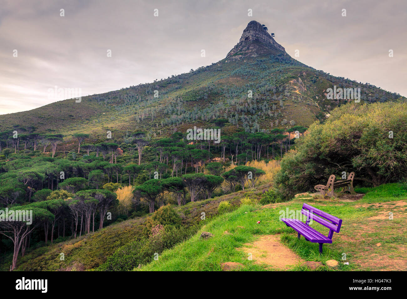 Lions Head Montagna in Città del Capo, Sud Africa Foto Stock