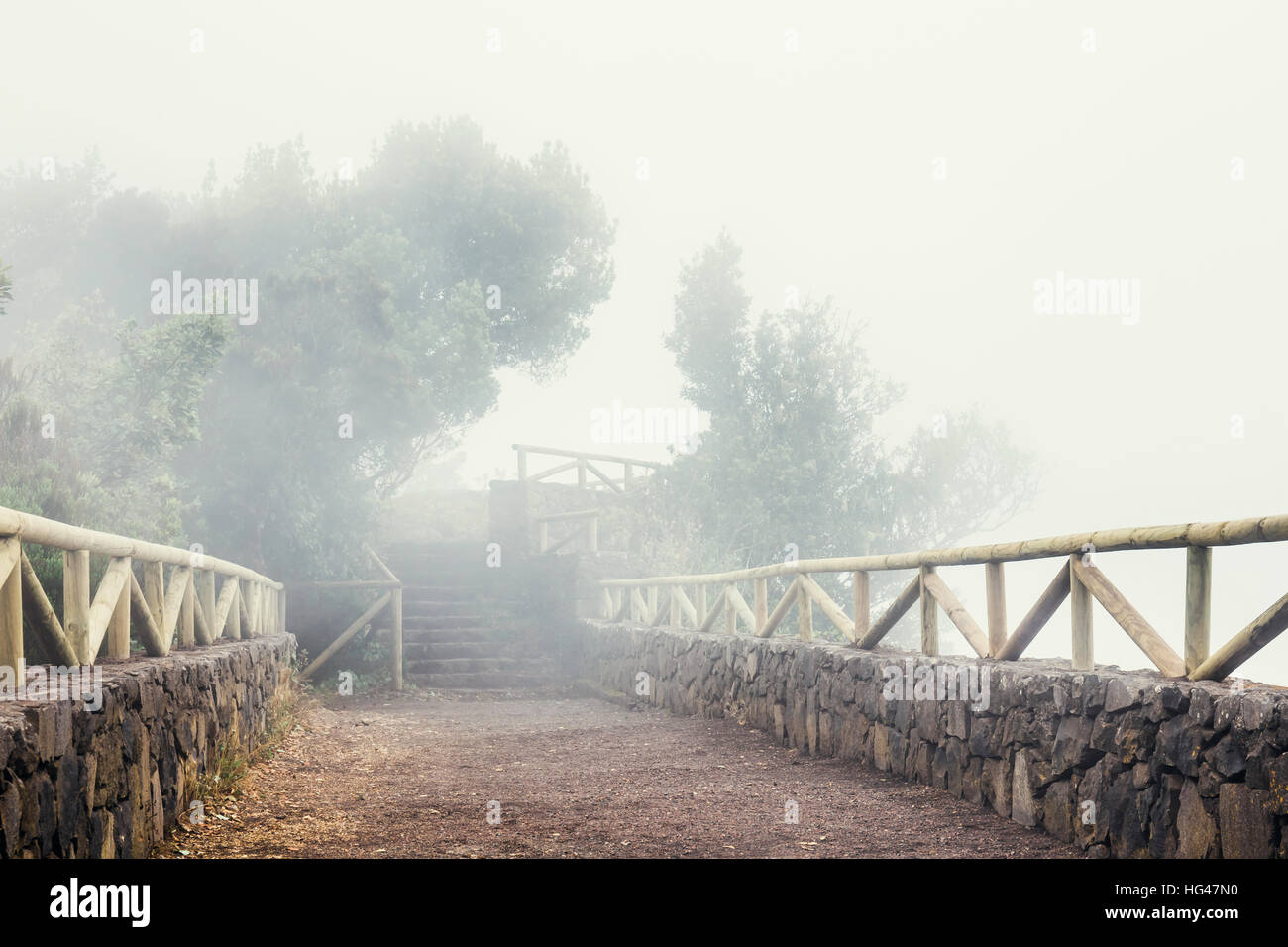 Sentiero di montagna nel nebbioso giorno, Tenerife Foto Stock