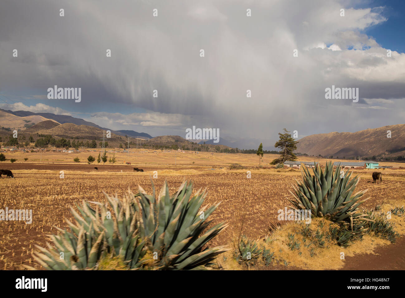 Aria di tempesta nella valle dietro i paesi andini Explorer treno sul percorso a Cusco Foto Stock