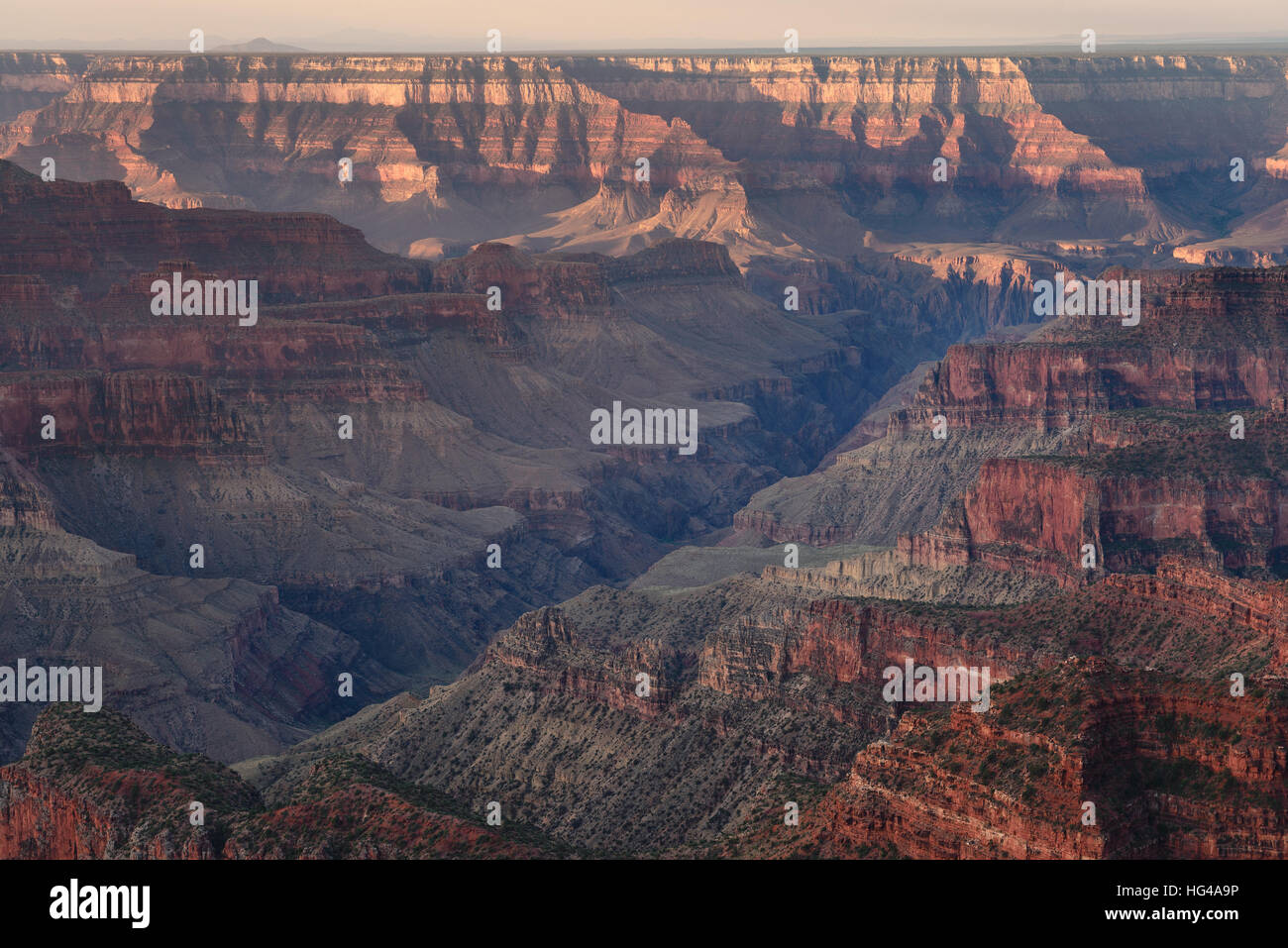 La luce del mattino al Gran Canyon North Rim view point trail. Foto Stock
