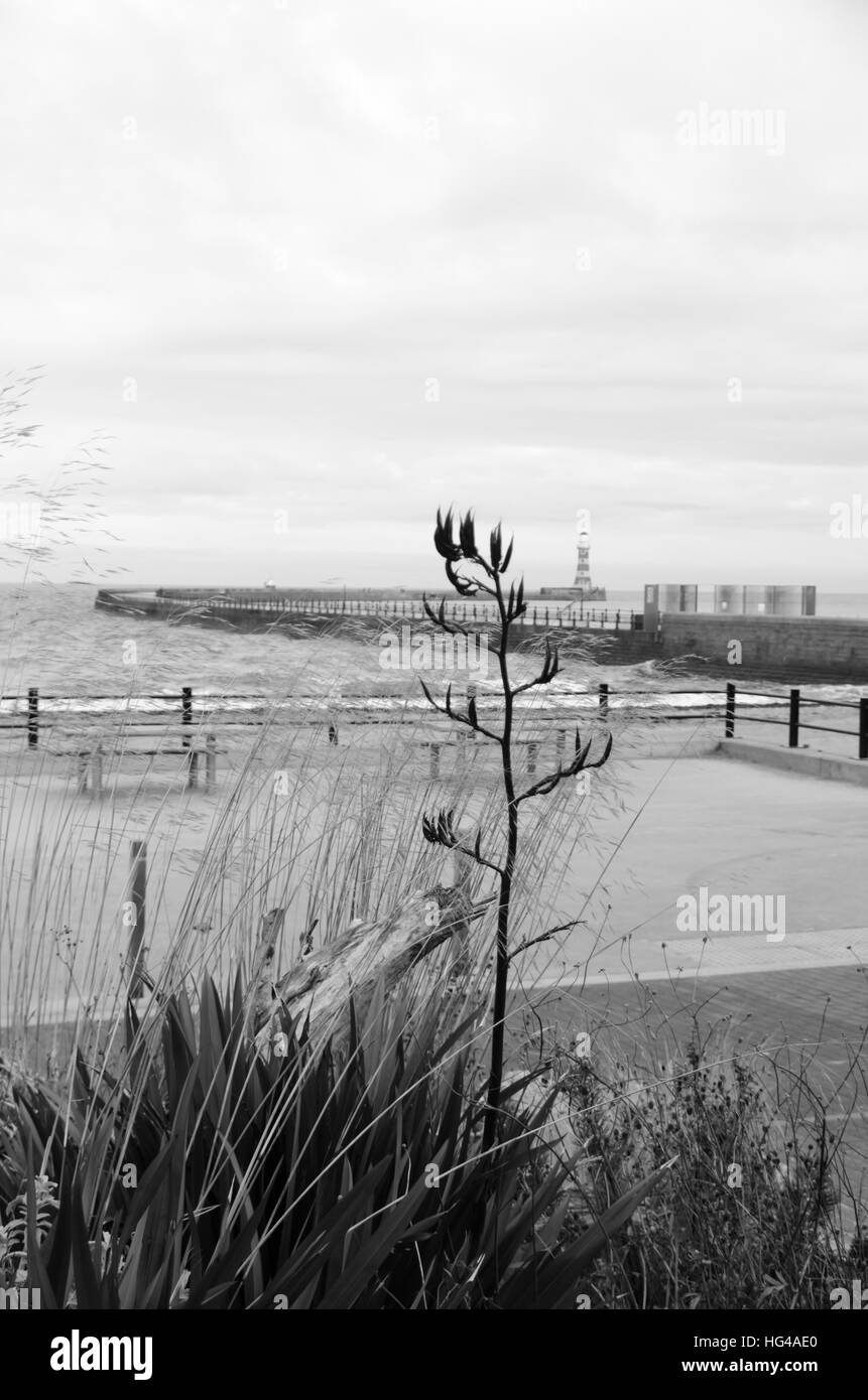 Il paesaggio di strada a Roker Pier e il faro (1903) a Roker, Sunderland Foto Stock