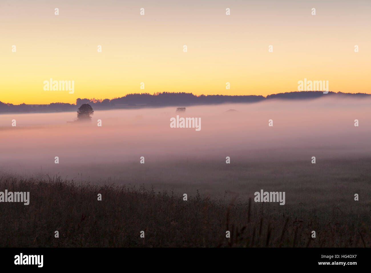 Nebbia mattutina, paesaggio vicino a Bad Buchau, Alta Svevia, Baden-Württemberg, Germania Foto Stock