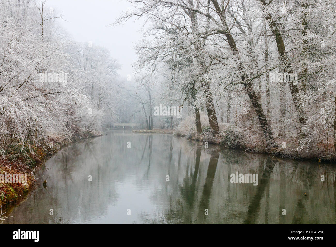 Alberi e cespugli di bianco di brina sulle rive del fiume del Kromme Rijn (storta Reno) in un giorno nuvoloso in inverno. I Paesi Bassi. Foto Stock