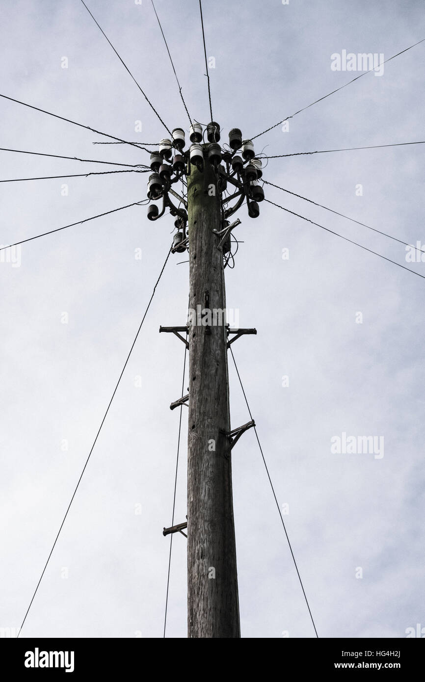 Palo del telegrafo e linee. Regno Unito Foto Stock