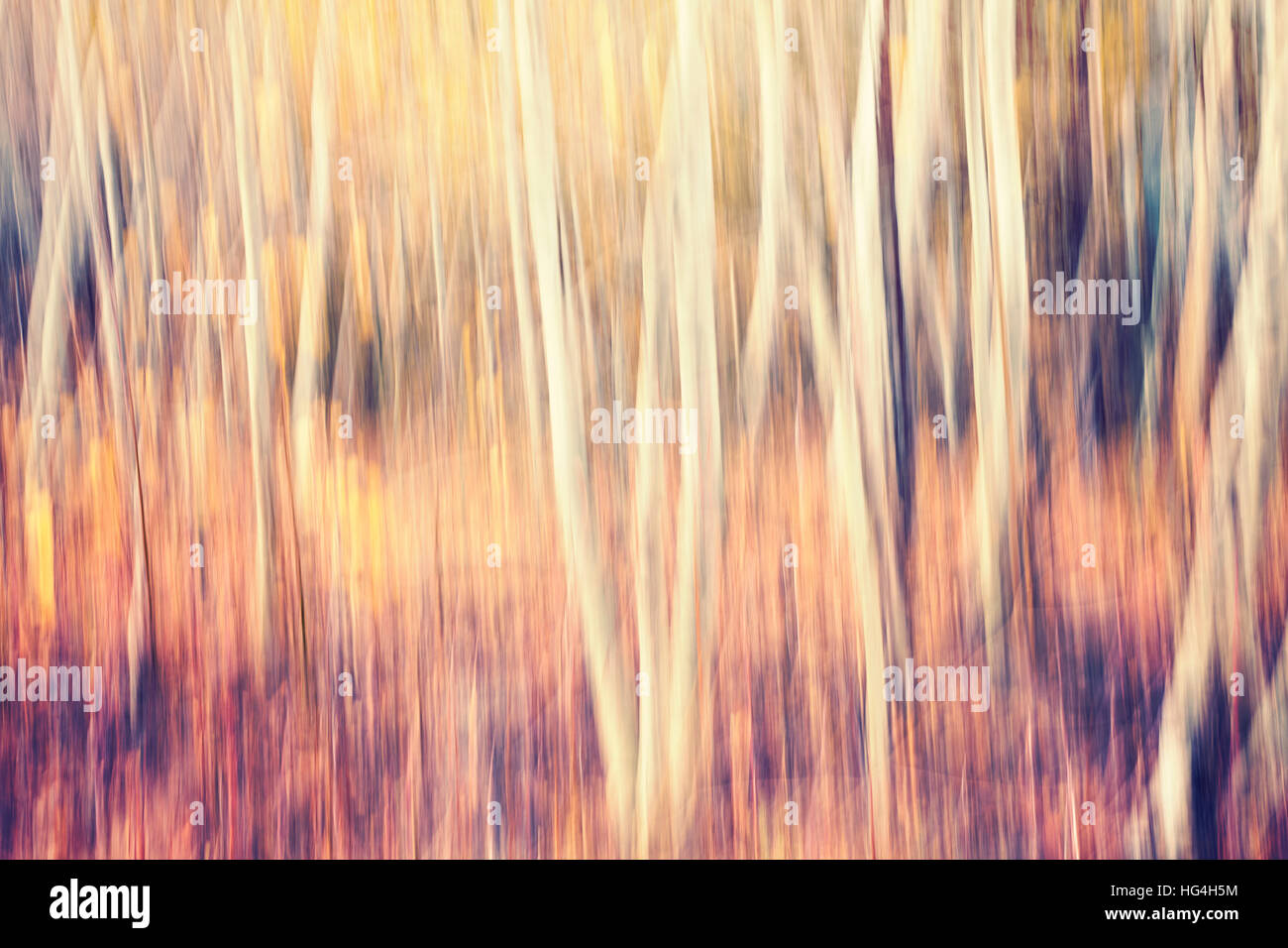 Motion offuscata foresta autunnale, natura astratta sfondo, tonificazione del colore applicato. Foto Stock
