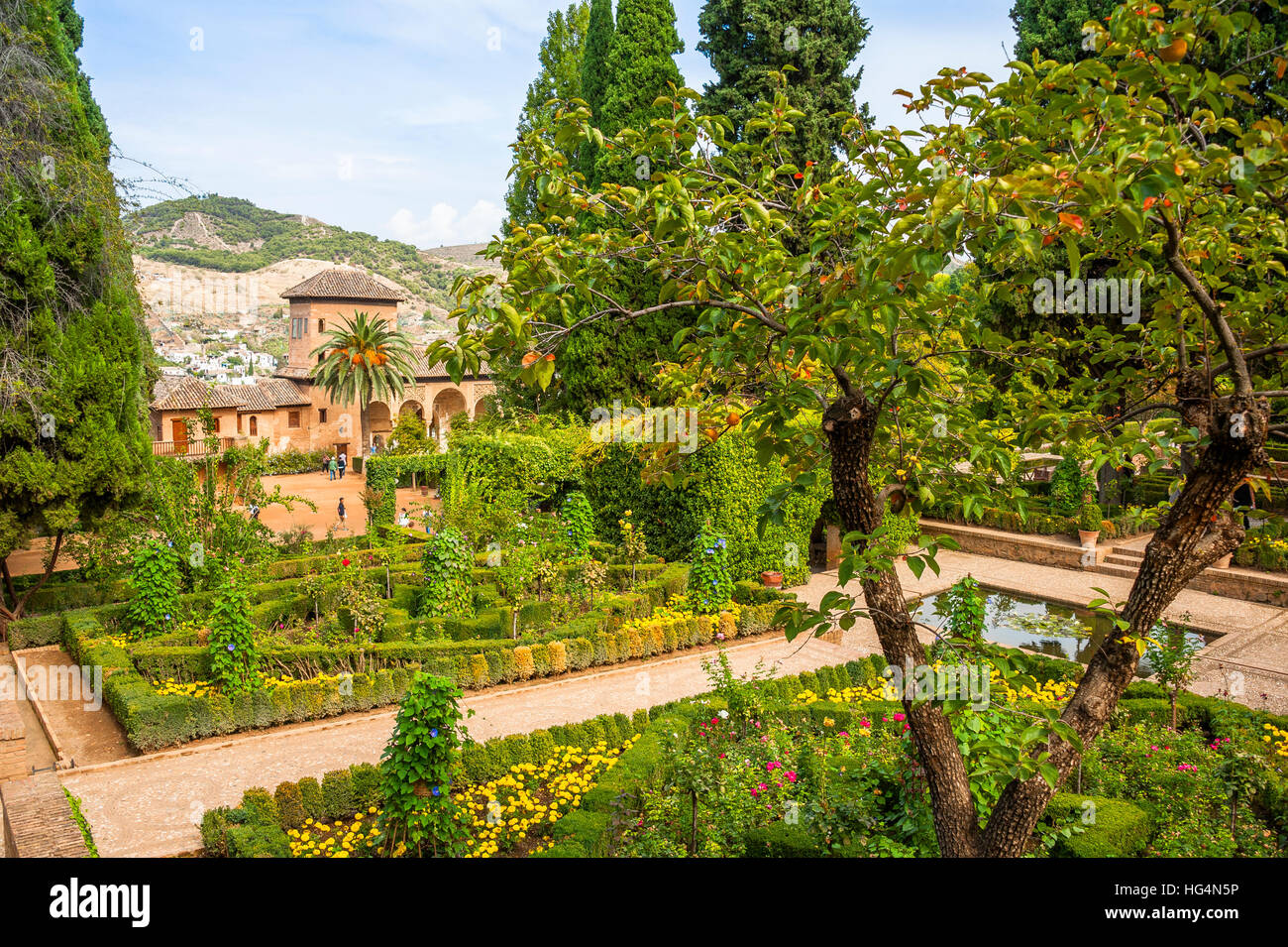 Giardini del Partal, Alhambra di Granada, Andalusia, Spagna Foto Stock