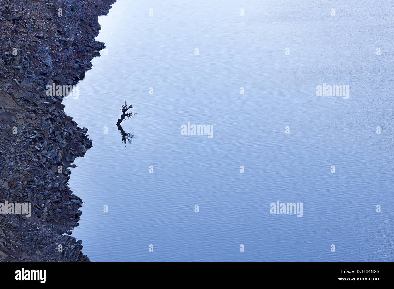 Alluvione del fiume di reversibilità. Foto Stock