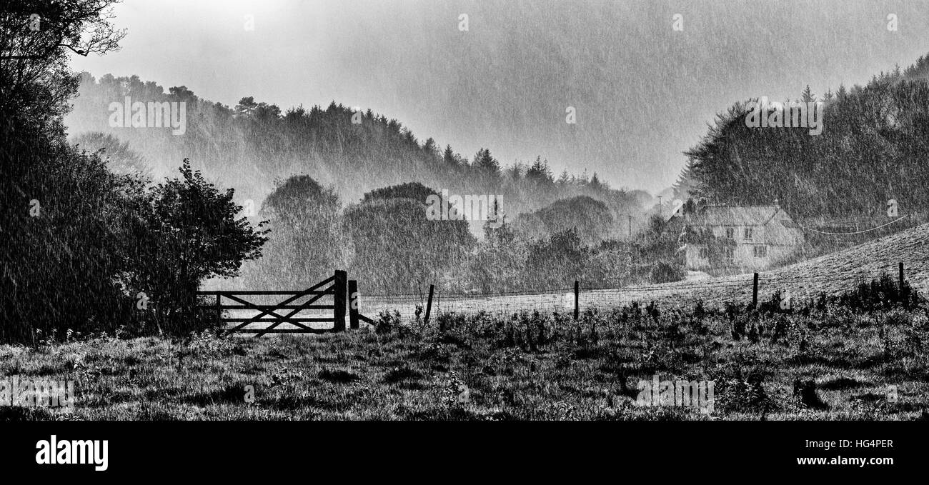 Un mono paesaggio panoramico che mostra i campi agricoli e un cottage in una pesante doccia a pioggia con il sole alle spalle il diluvio dando un disegno a matita effetto. Foto Stock