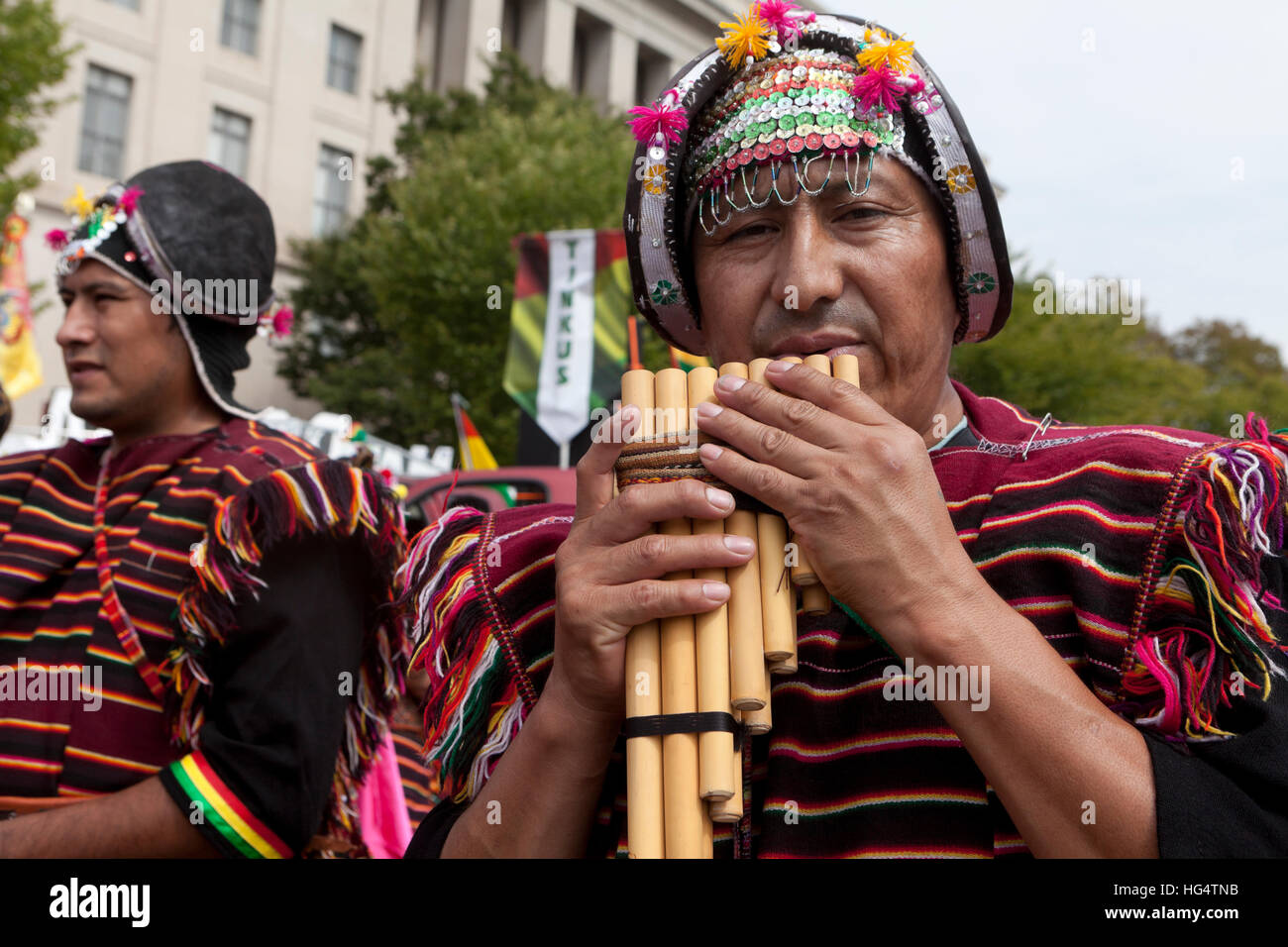 Boliviano flauto di pan giocatore al festival Latino - Washington DC, Stati Uniti d'America Foto Stock