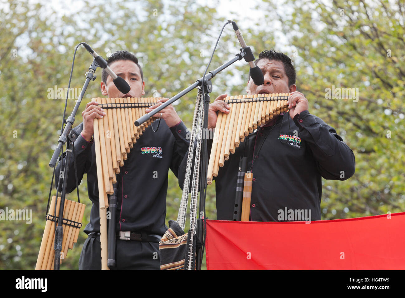 Peruviano flauto di pan giocatori sul palco di un festival culturale - USA Foto Stock