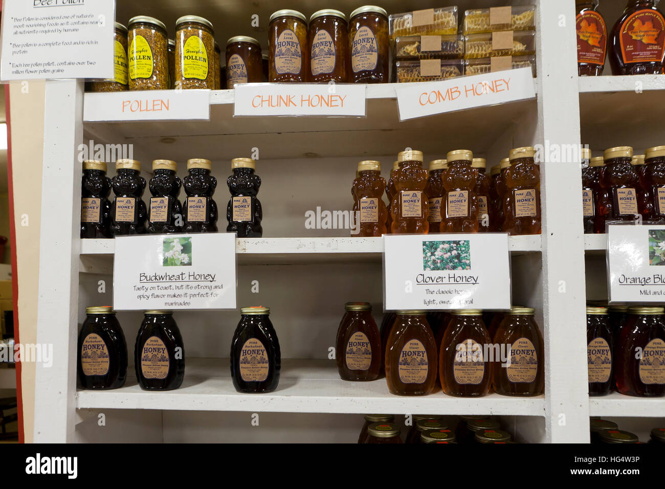 Varie bottiglie di materie miele sugli scaffali a farm store - Pennsylvania USA Foto Stock