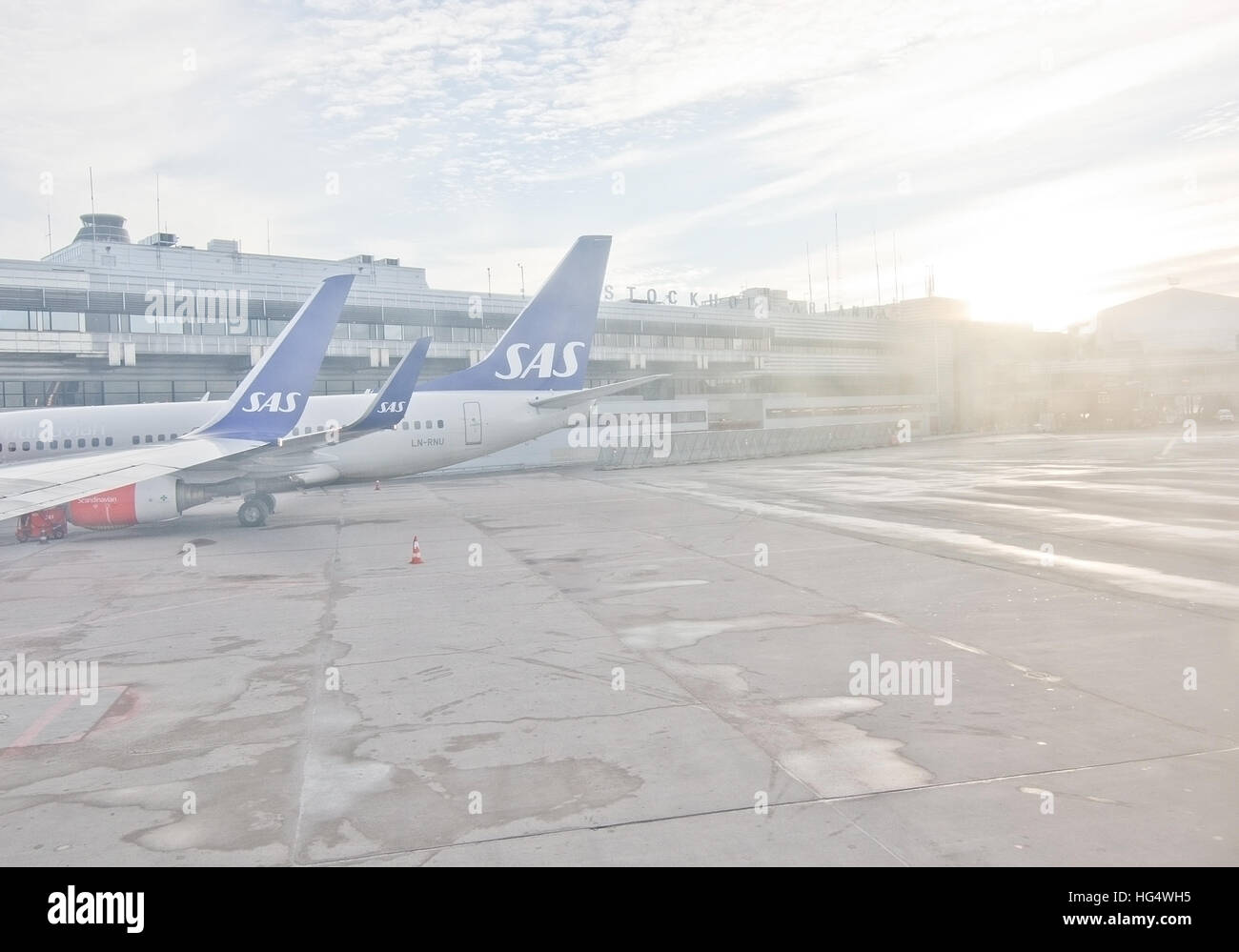 Scandinavian Airlines jetliners line up fuori dai cancelli a Stoccolma Arlanda International Airport in una giornata di sole in dicembre. Foto Stock