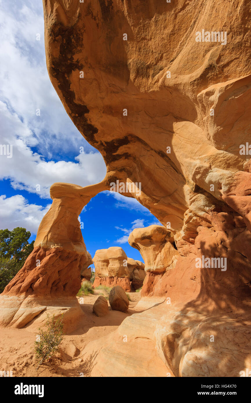 Metate Arch a Devils Garden vicino a Escalante, Utah, Stati Uniti Foto Stock