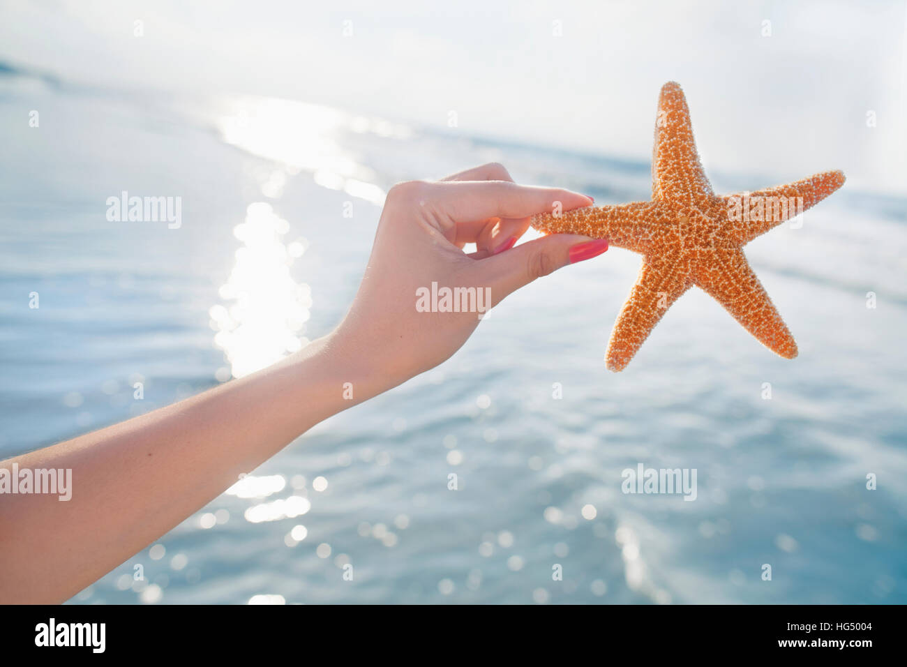 Donna che mantiene starfish in spiaggia Foto Stock