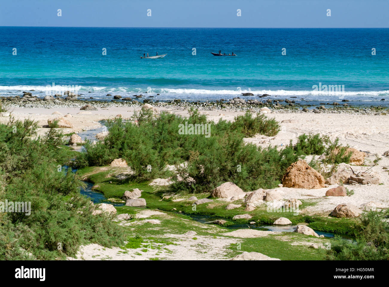 Arher (isola di Socotra) - 15 Gennaio 2008: flusso di acqua dolce che sfocia nel mare a Arher beach sull'isola di Socotra, Yemen Foto Stock