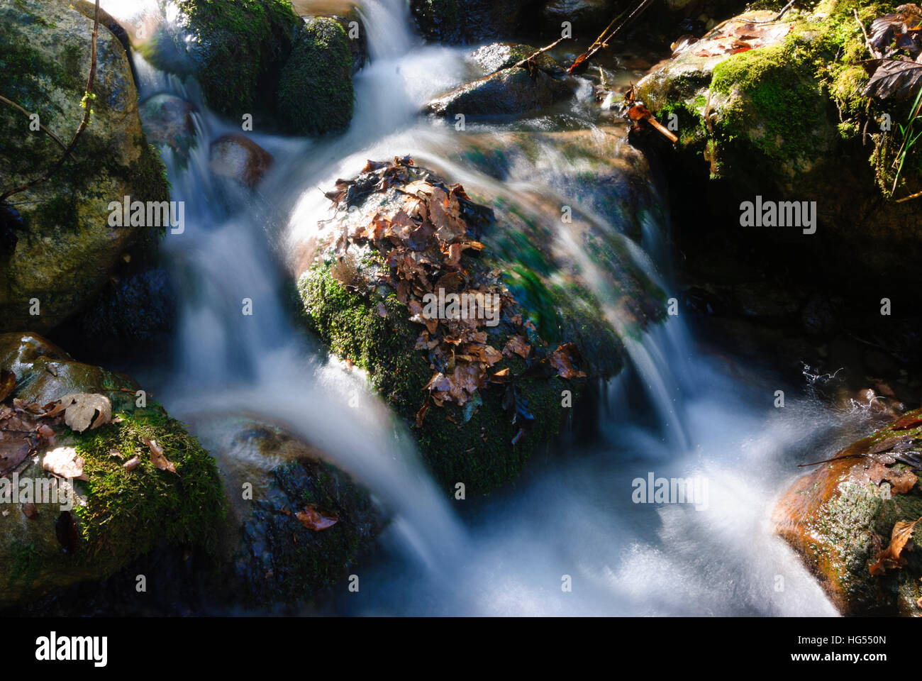 Nationalpark Berchtesgaden: stream, Alta Baviera, Baviera, Baviera, Baviera, Germania Foto Stock