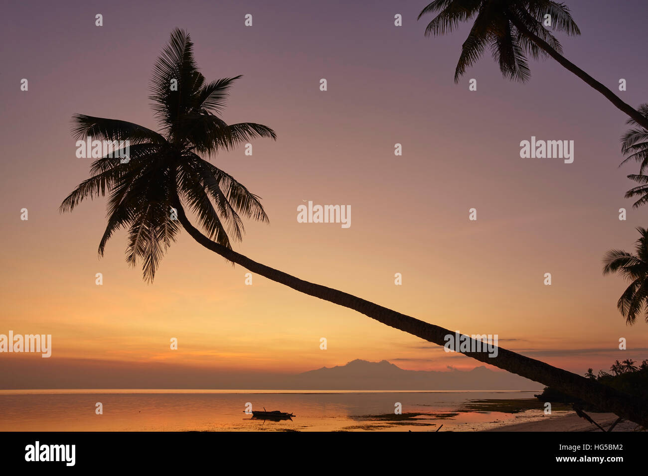 Un tramonto silhouette di palme da cocco a Paliton beach, Siquijor, Filippine, Sud-est asiatico, in Asia Foto Stock