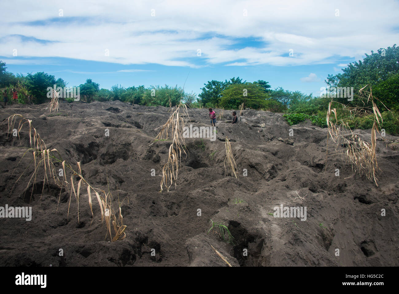 Terra piena di buchi da cacciatori Megapode scavare per le uova di uccelli Megapode, East New Britain, Papua Nuova Guinea, Pacific Foto Stock