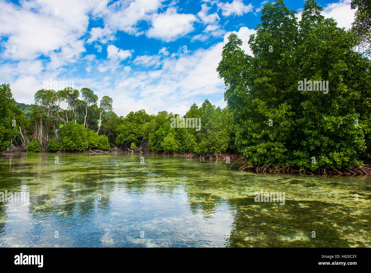 Acqua cristallina nella laguna Utwe, Riserva della Biosfera dall'UNESCO, Kosrae, Stati Federati di Micronesia, Sud Pacifico Foto Stock