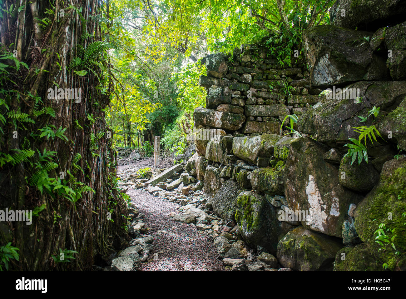 Lelu (Leluh) sito archeologico, Kosrae, Stati Federati di Micronesia, Sud Pacifico Foto Stock