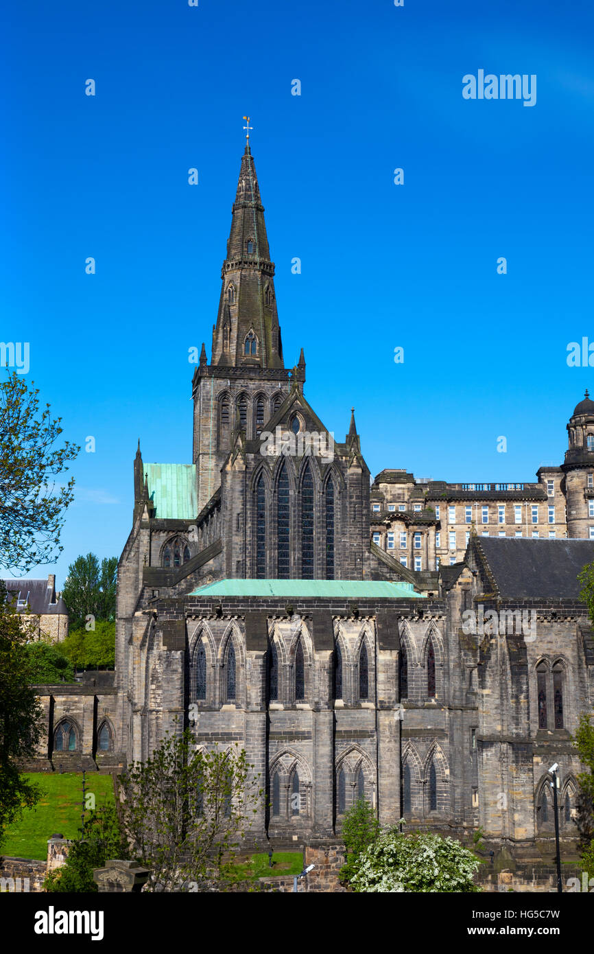 La cattedrale di Glasgow, Glasgow, Scotland, Regno Unito Foto Stock