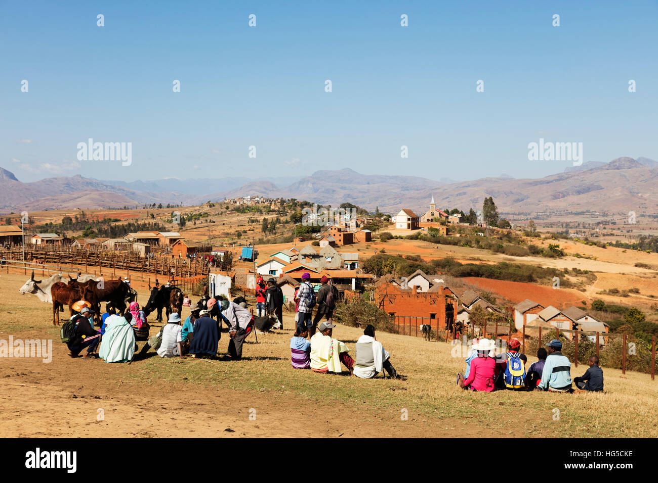 Zebù mercato del bestiame, Ambalavao, zona centrale Foto Stock