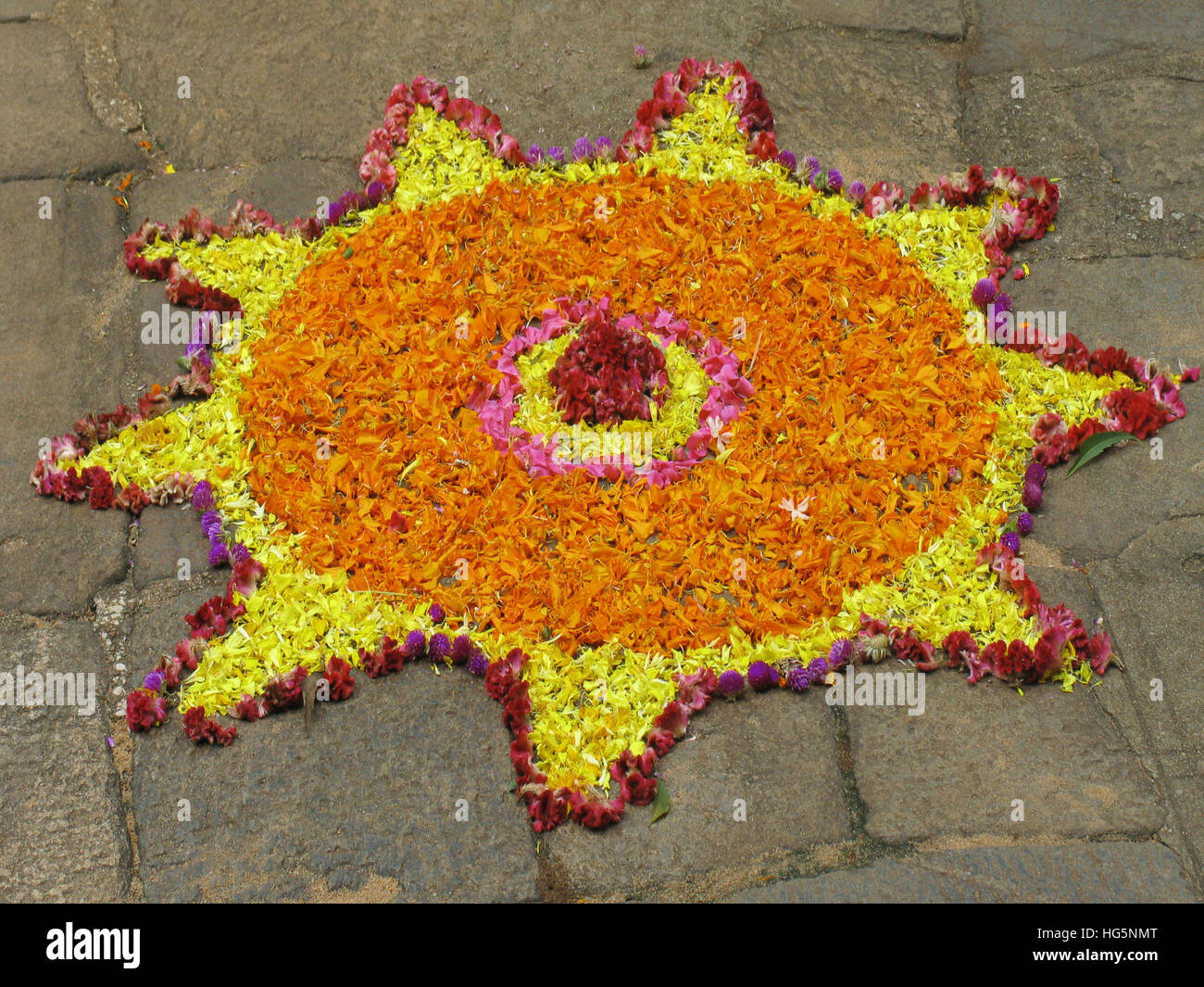 Decorazione dei fiori, durante il festival Onam in Kerala. I fiori sono portati e disposti in varie formazioni conosciute come Athappookalam. Foto Stock
