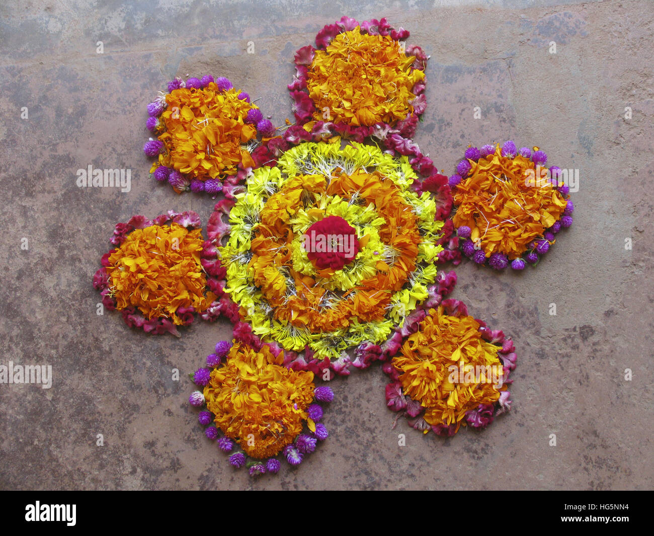 Decorazioni floreali, durante il festival di Onam in Kerala. I fiori sono portati e disposti in varie formazioni noto come Athappookalam. Si tratta di un assortimento Foto Stock