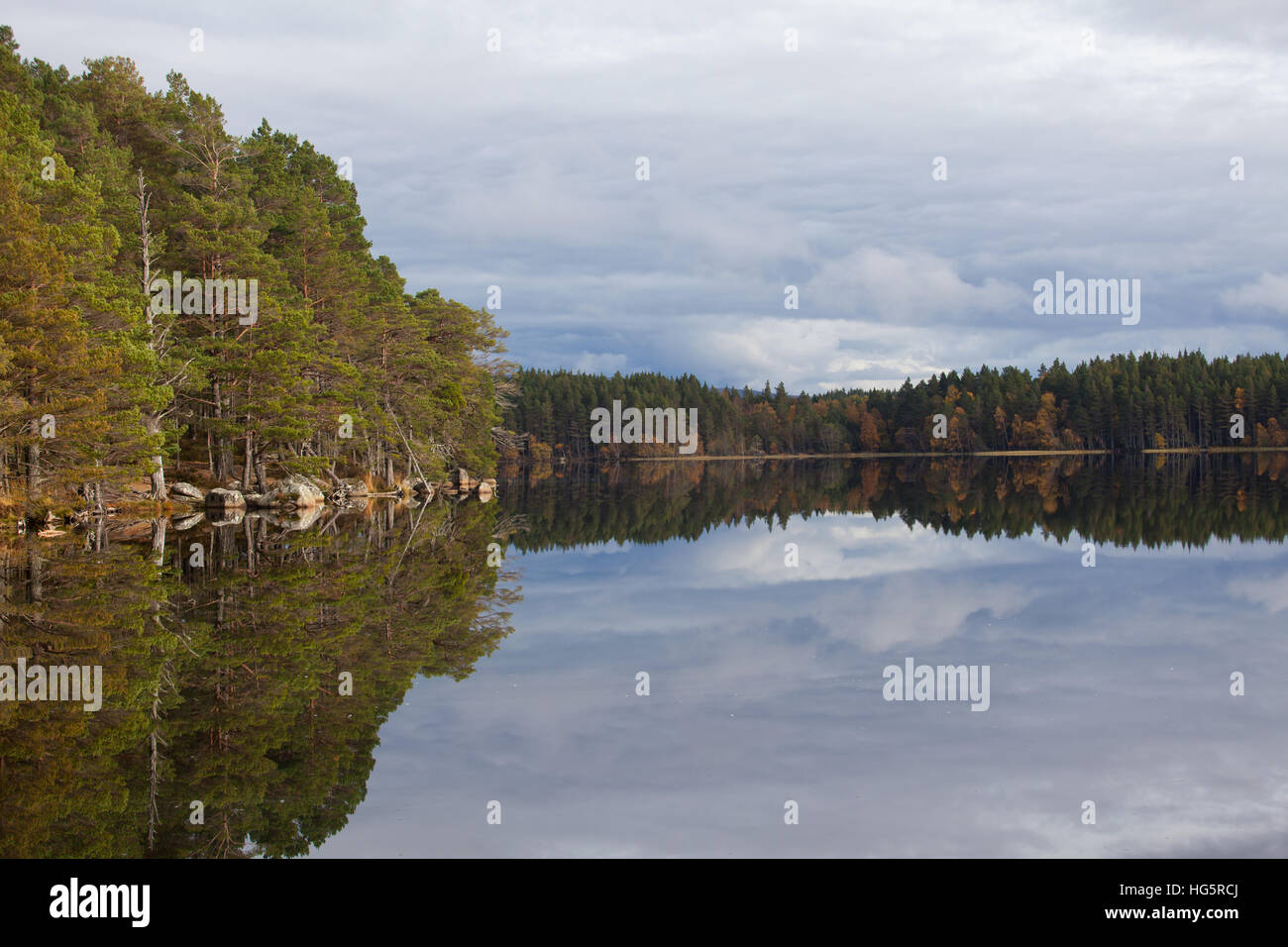 Uno specchio calma Loch Garten su una mattina autunnale nel mese di ottobre Foto Stock