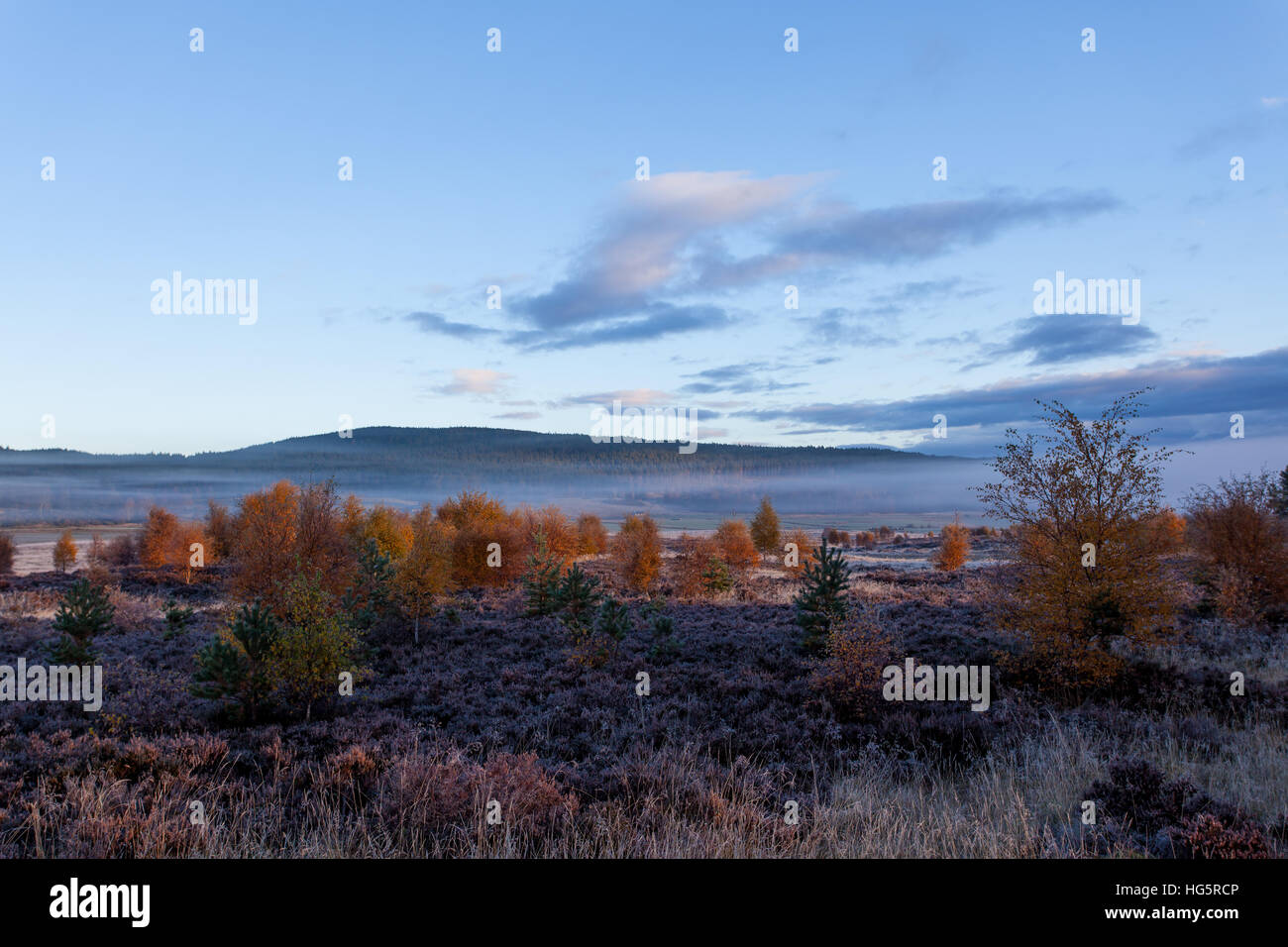 Un congelati paesaggio autunnale nelle Highlands della Scozia Foto Stock