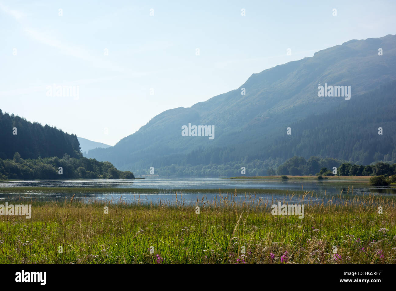 Una scena estiva nelle Highlands vicino al Loch Lubnaig che mostra Ben Ledi in background Foto Stock