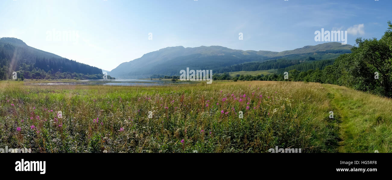 Una scena estiva nelle Highlands vicino al Loch Lubnaig che mostra Ben Ledi in background Foto Stock