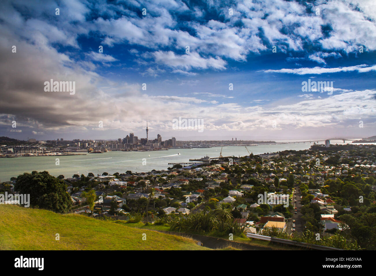 Vista panoramica aerea del porto della città di Auckland, New Zealand Harbour dalla cima del Parco Urbano del Monte Eden, Blue Skyline Sunny Summer Day Foto Stock