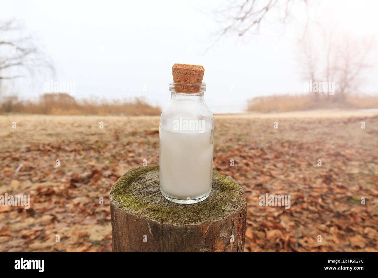 Bottiglia di olio di noce di cocco sullo sfondo di un paesaggio invernale,noce di cocco, olio di noce di cocco, crema di trattamento per i capelli, l'idratazione della pelle Foto Stock