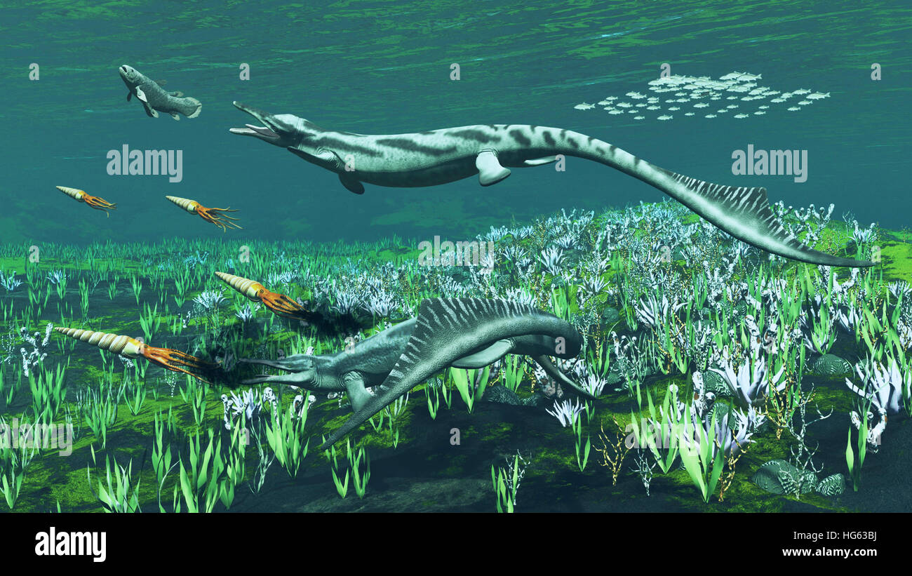 Cymbospondylus, una molto grande e precoce ichthyosaur Triassico. Foto Stock