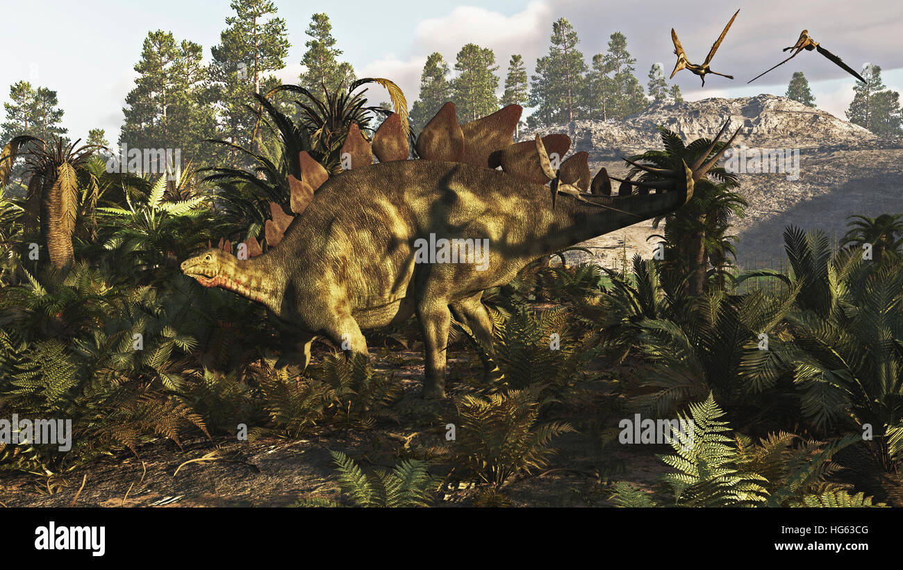 Un Stegosaurus appendere fuori. Foto Stock
