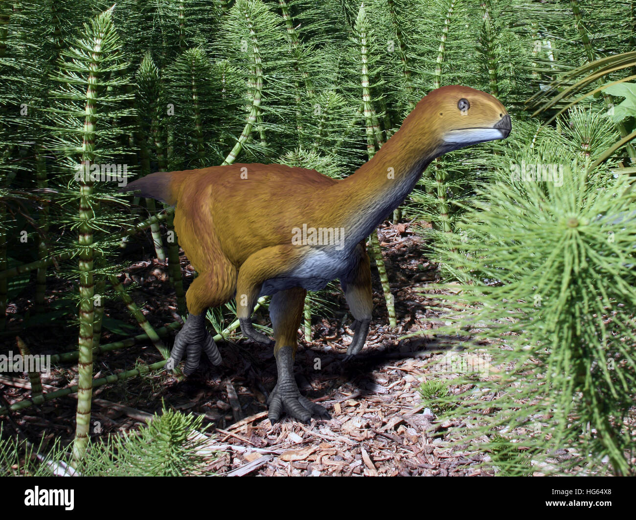 Chilesaurus è un estinto theropod dinosaur dalla fine del Giurassico del  Cile Foto stock - Alamy
