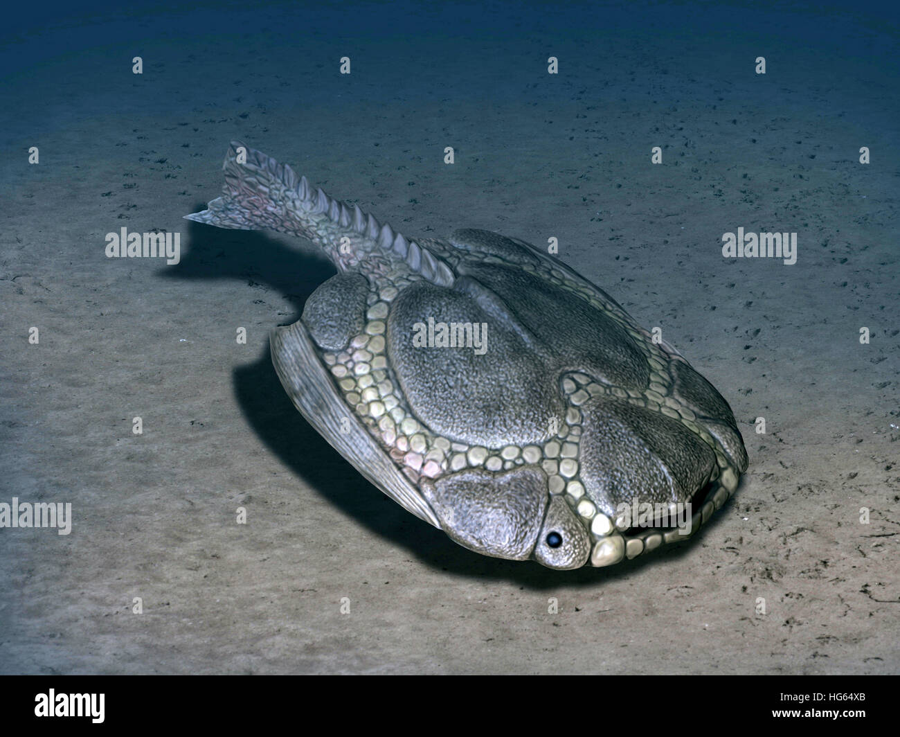 Drepanaspis è un pesce jawless dal Devoniano precoce della Germania. Foto Stock
