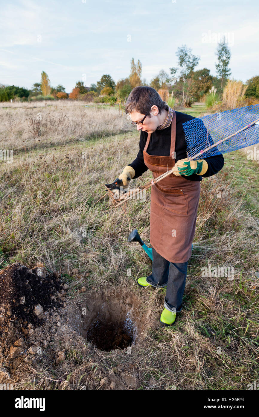 La piantagione di alberi da frutto in autunno da una donna Foto Stock