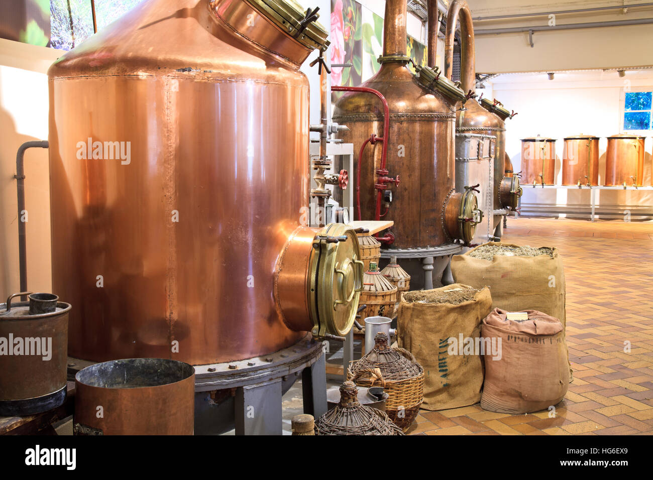 Profumeria Fragonard nella storica fabbrica, gli alambicchi (Grasse, Alpes-Maritimes, Francia) Foto Stock