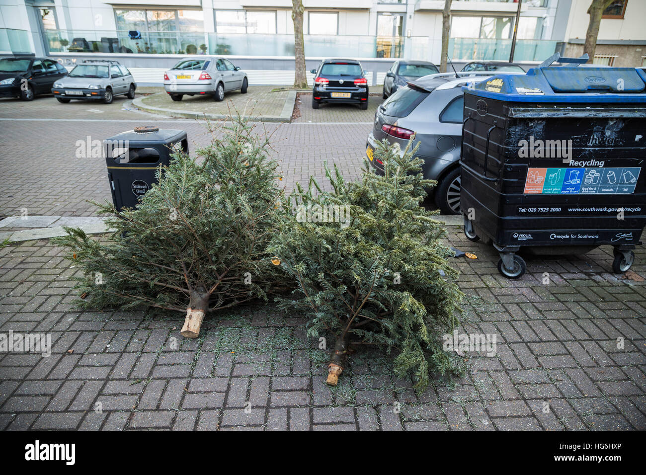 Londra, Regno Unito. 5 gennaio 2017. Importazioni oggetto di dumping di alberi di Natale visto dai cestini in Surrey Quays © Guy Corbishley/Alamy Live News Foto Stock