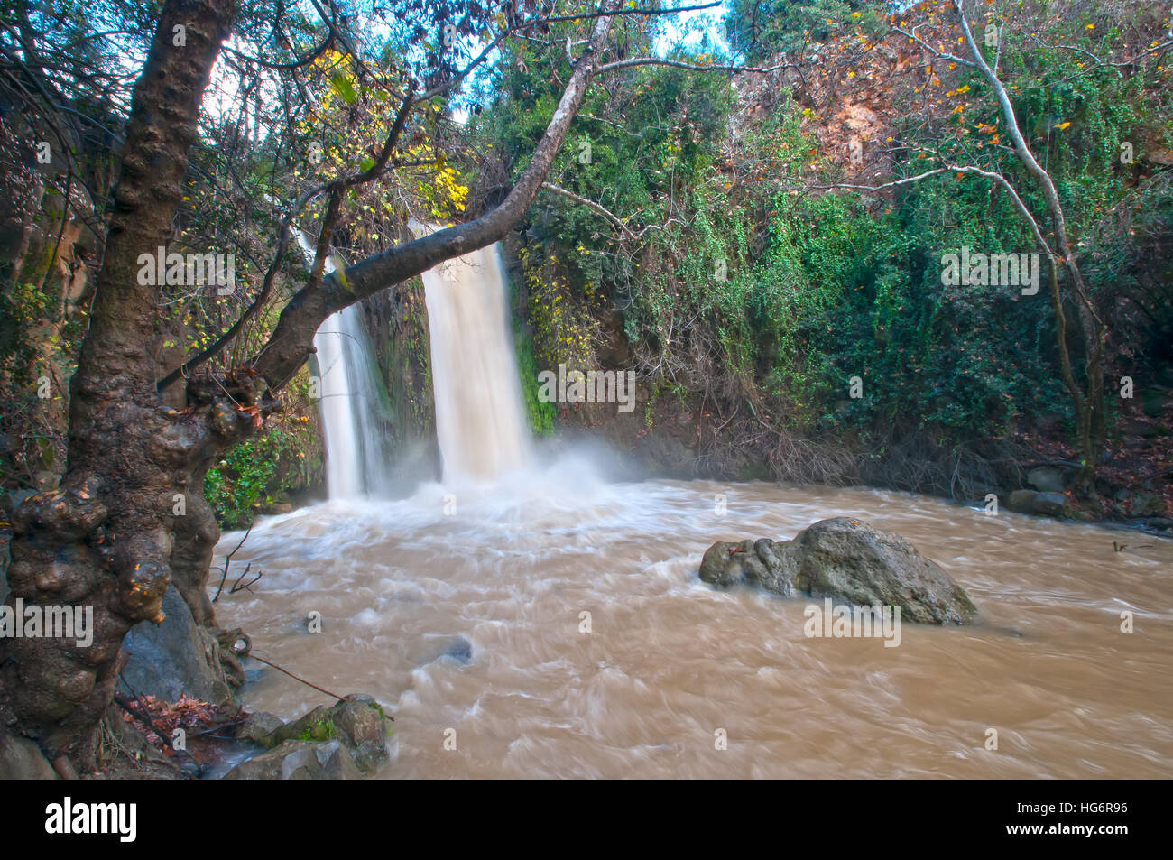 Cascate di Banias, Israele, Foto Stock