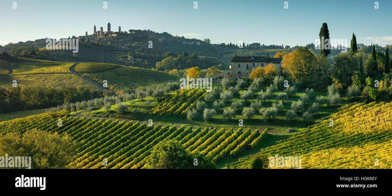 Vigneti, uliveti e campagna toscana sotto la città medievale di San Gimignano, Toscana, Italia Foto Stock