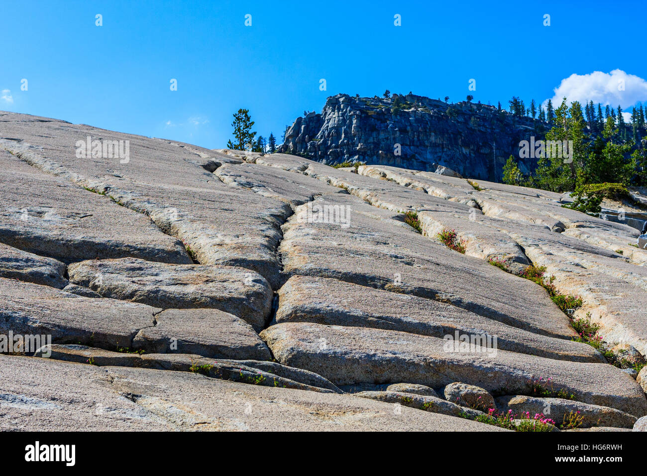 Tioga Pass è un passo di montagna nelle montagne della Sierra Nevada. Strada Statale Route 120 scorre attraverso di esso e che serve come parte orientale del punto di ingresso per il Parco Nazionale di Yosemite Nati Foto Stock