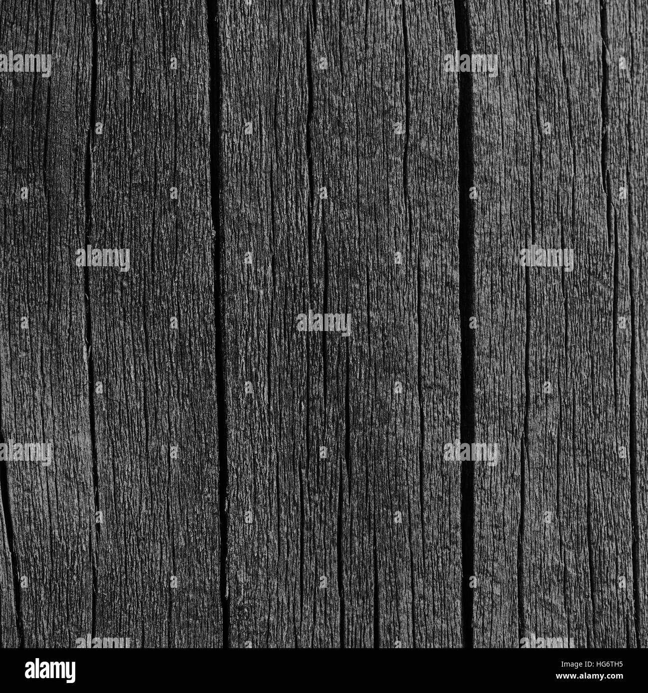 Tavola in legno bordo Gry nero catrame di legno vernice dettaglio texture, grandi e vecchi di età scure dettagliate Gry incrinato rustico in legno Macro Closeup Pattern, vuoto Foto Stock
