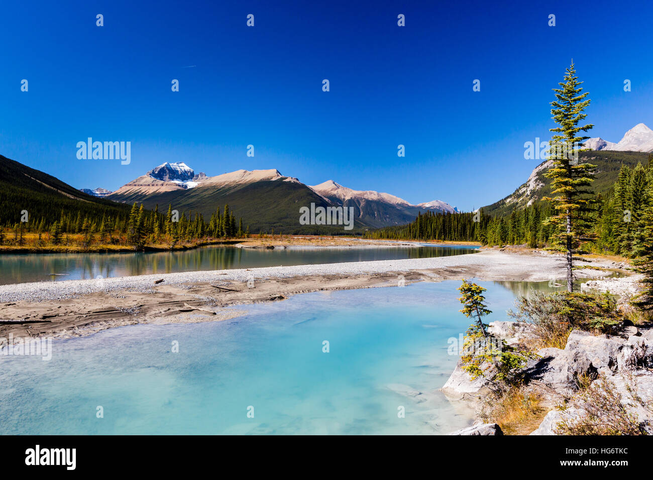 La Sunwapta River è un importante affluente del fiume Athabasca in Jasper National Park in Alberta, Canada. Le sorgenti del fiume Sunwapta sono ne Foto Stock